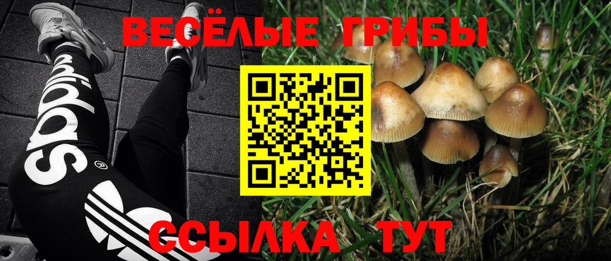Мефедрон кристаллы  Озёры  Вход с VPN  АМФЕТАМИН   Каннабис  ГАШ  Кокаин 