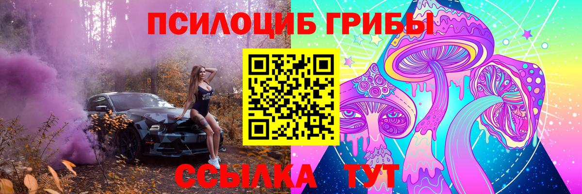Псилоцибиновые грибы Psilocybe Озёры