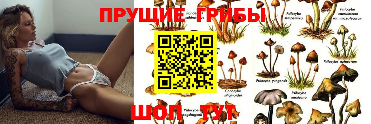 Озёры  Галлюциногенные грибы прущие грибы  Вход с VPN 